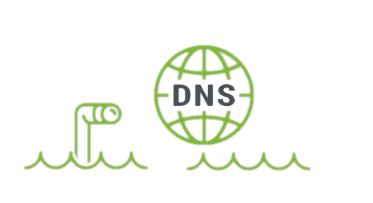 Мониторинг DNS-записи